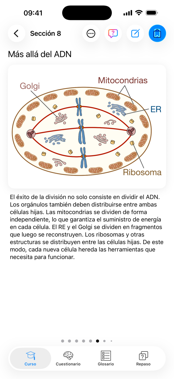 Lección ilustrada en Codon One