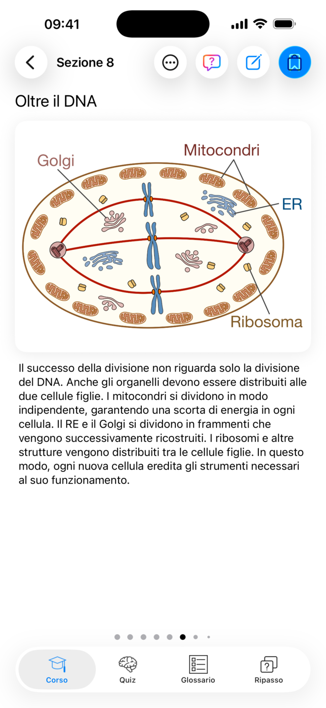 Lezione illustrata in Codon One