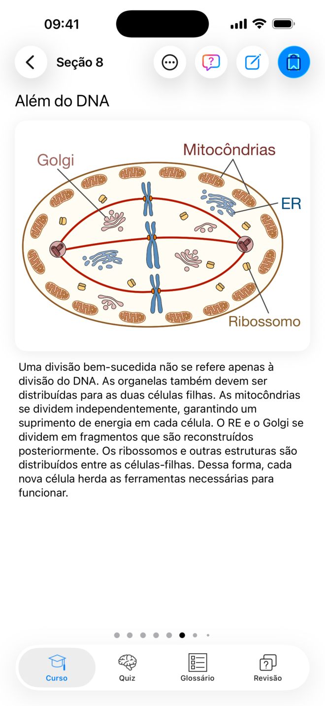 Lição ilustrada no Codon One