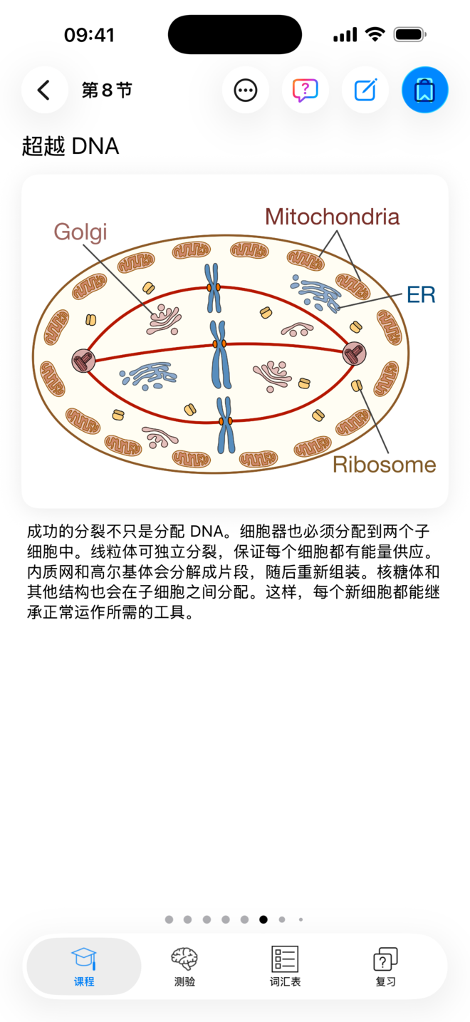 Codon One 中的图解课程