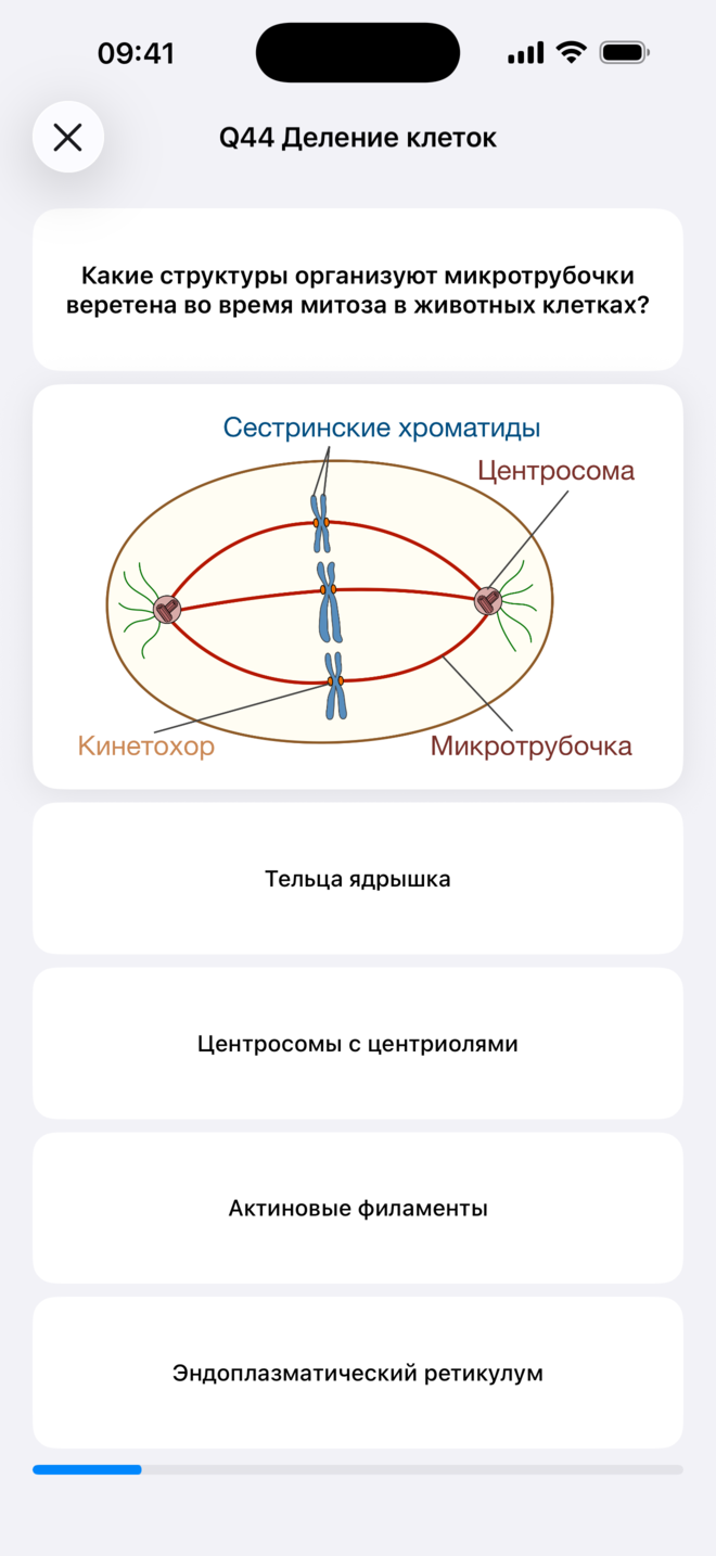 Тест в Codon One