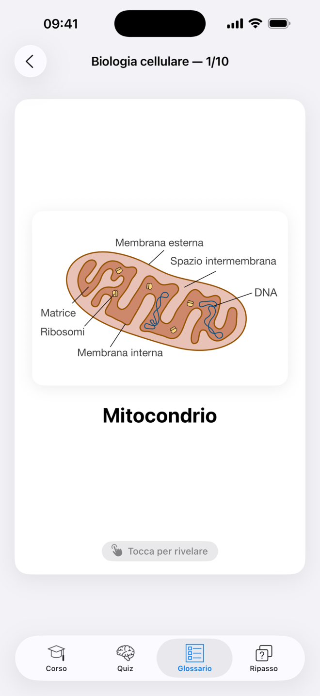Flashcard in Codon One