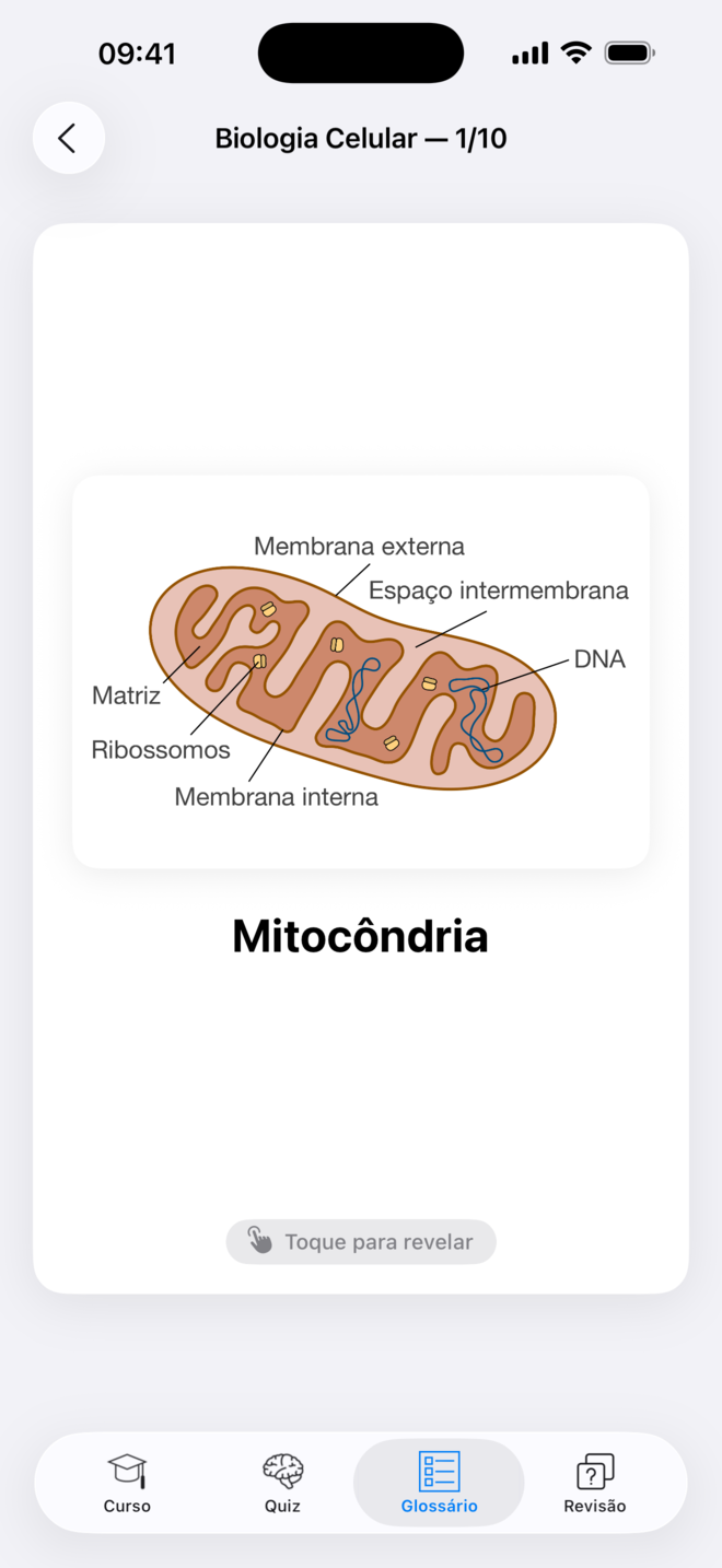 Flashcard no Codon One