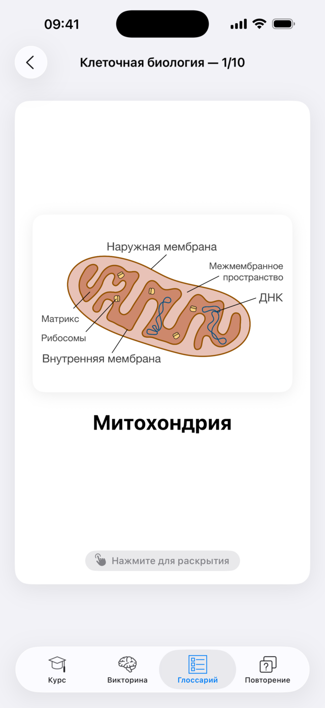 Карточка в Codon One