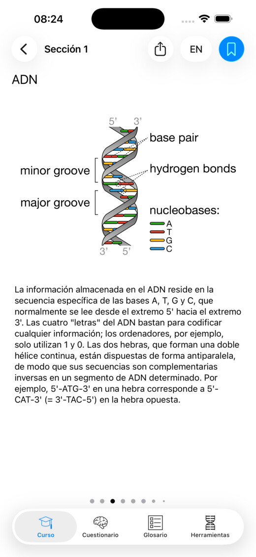 Una lección ilustrada sobre el ADN en Codon One
