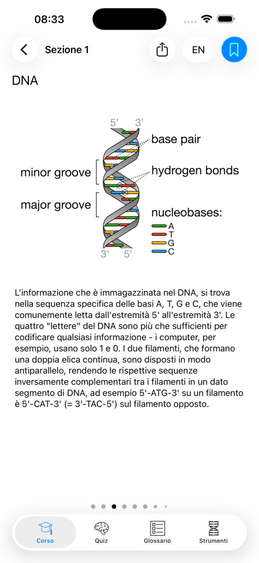 Una lezione illustrata sul DNA in Codon One