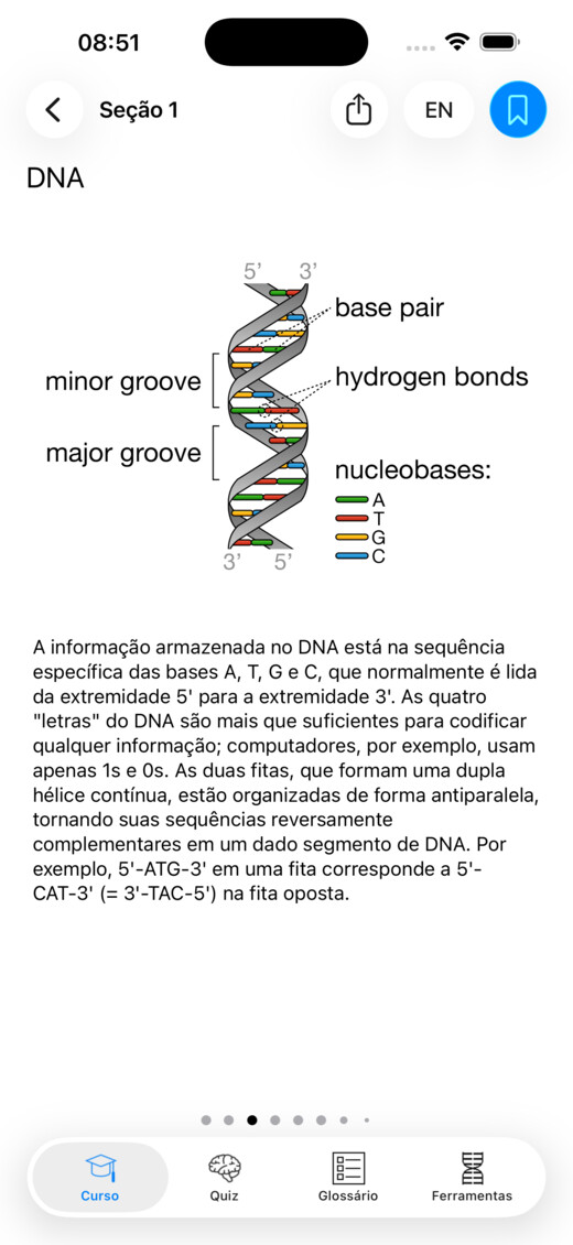Uma lição ilustrada sobre o DNA no Codon One