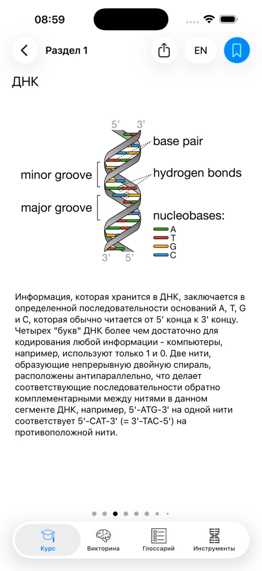 Иллюстрированный урок о ДНК в Codon One