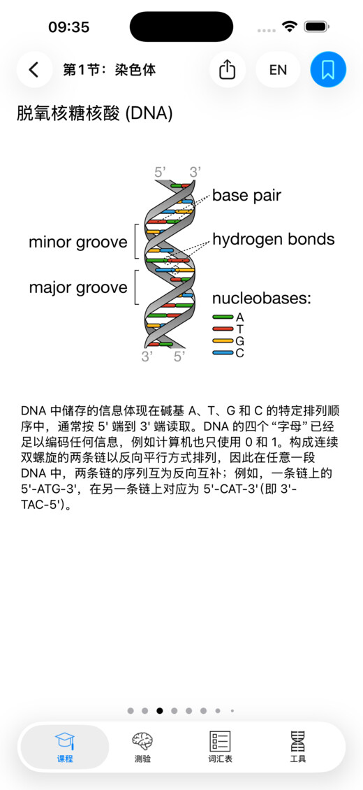 Codon One 中关于 DNA 的图解课程