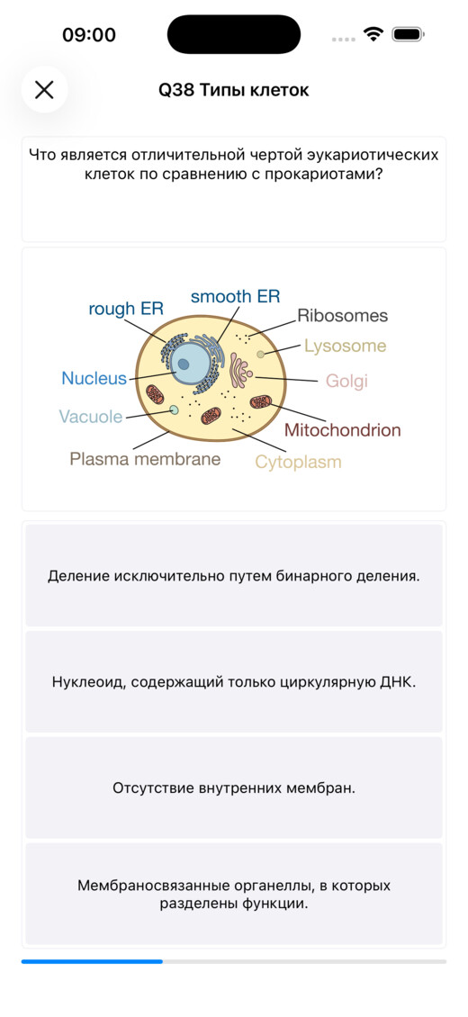 Тест