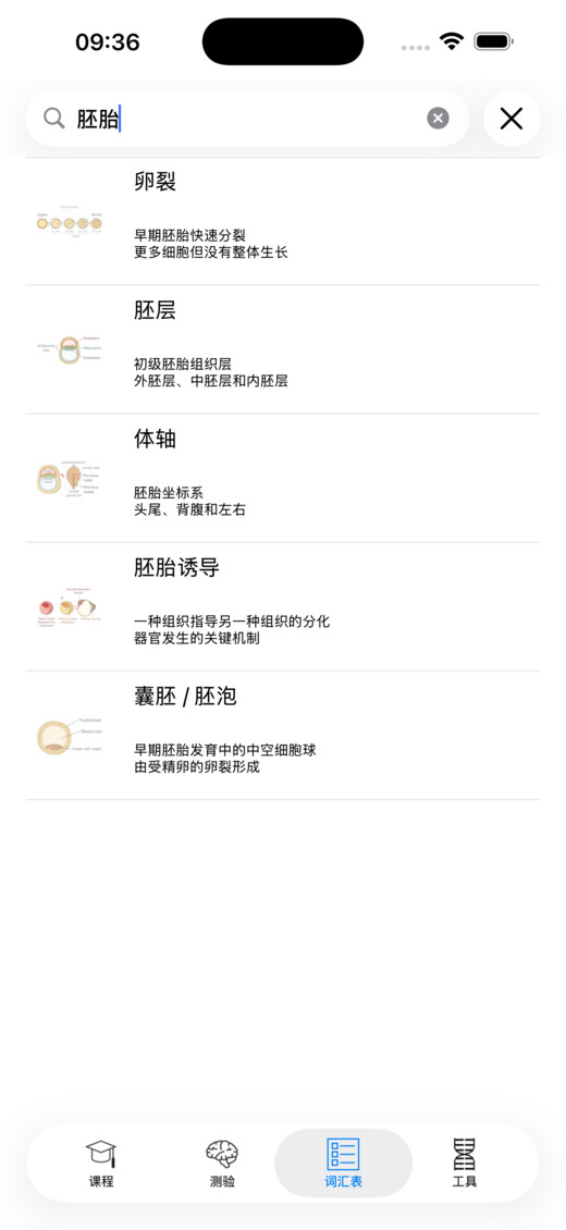 术语表搜索