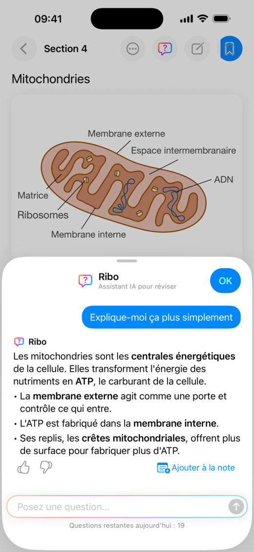 Ribo explique une leçon sur les mitochondries